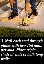 3. Nail each stud through plates with two 16d nails per stud. Place triple studs at ends of both long walls.
