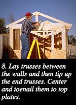 8. Lay trusses between the walls and then tip up the end trusses. Center and toenail them to top plates.